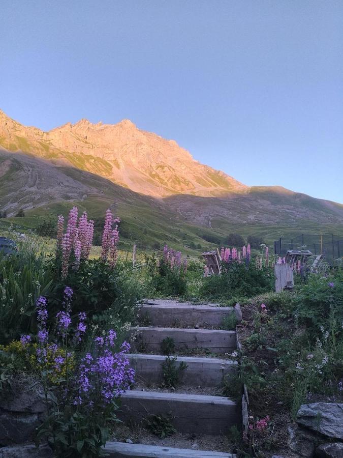 Le Ptit Chalet *
